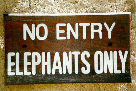 Elephant Safari Park